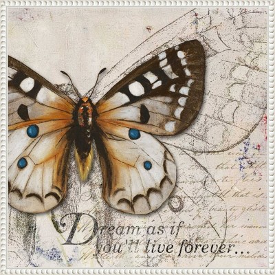22"x22" Living your Dreams I Butterfly by Patricia Pinto Framed Canvas Wall Art Print White - Amanti Art: Modern Style, Polystyrene Frame