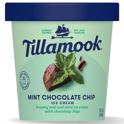 Tillamook Mint Chocolate Chip Frozen Ice Cream - 16oz