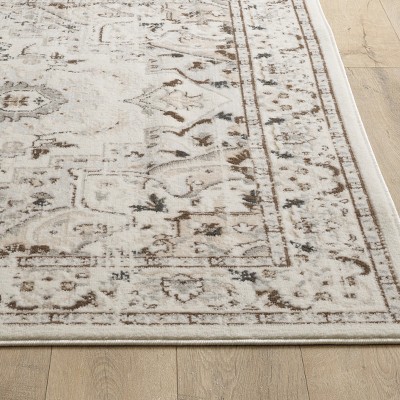 Maxax Area Rug,Stain Resistant Rugs,Non-Shedding & Easy Care, for Entryway, Living Room, Bedroom, Dinning Room, Brown/Cream