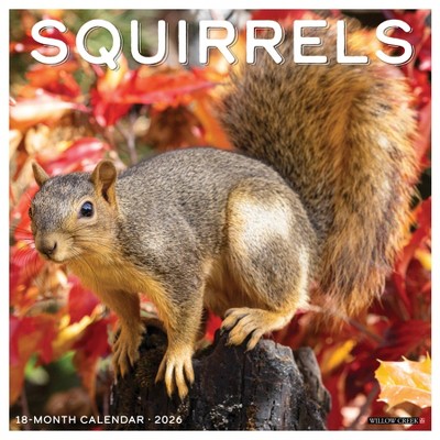 Willow Creek Press 12"x12" 2026 Squirrels Wall Calendar