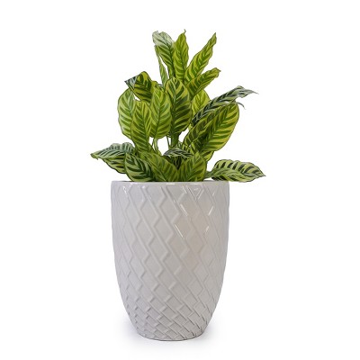 Gulches Large Ceramic Flowerpot Glossy Milk White, Modern Design, All Weather Durability, 16.54"x16.54"x21.26"H, Customizable