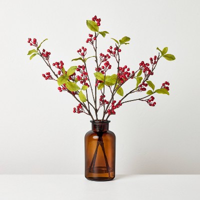 19" Red Berry in Amber Glass Artificial Arrangement - Hearth & Hand™ with Magnolia