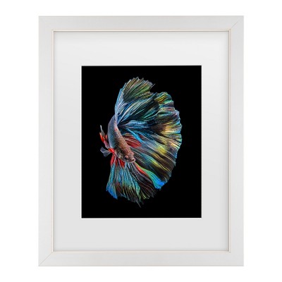 Trademark Fine Art - Andi Halil The Betta Fish Matted Framed Art