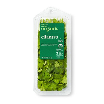 Organic Cilantro - 0.5oz - Good & Gather™