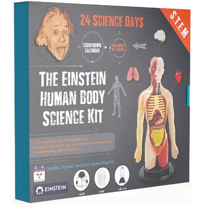 The Purple Cow The Human Body Advent Calendar: Educational Paper & Cardboard Winter Display