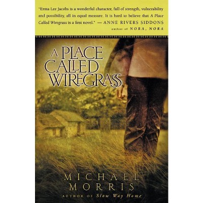 A Place Called Wiregrass - by  Michael Morris (Paperback)
