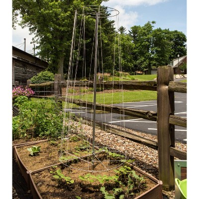 Lehman's Galvanized Steel Garden Vegetable Support for Beans Cucumbers Melons Squash, USA Made Vine Tower Stake Supports Climbing Vegetables, 6in 3ft