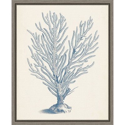 Amanti Art Antique Coral Collection II by Vision Studio Canvas Wall Art Print Framed 16 x 20-in.