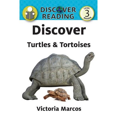Discover Turtles & Tortoises - by  Victoria Marcos (Paperback)