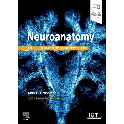 Neuroanatomy: Illustrated Colour Text - 7th Edition by  Alan R Crossman (Paperback)