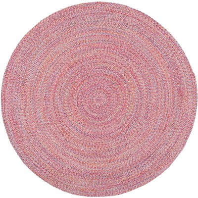 Braided BRD351 Hand Braided Area Rug  - Safavieh