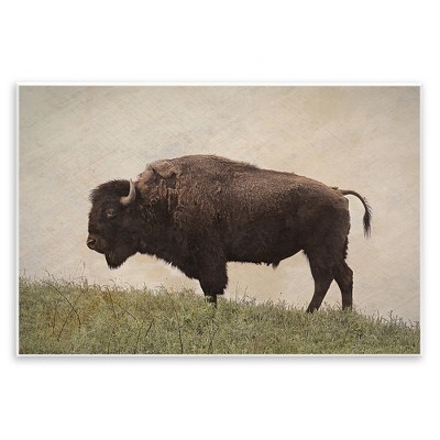 Stupell Industries Serene Buffalo on Country Hill Wall Plaque Art