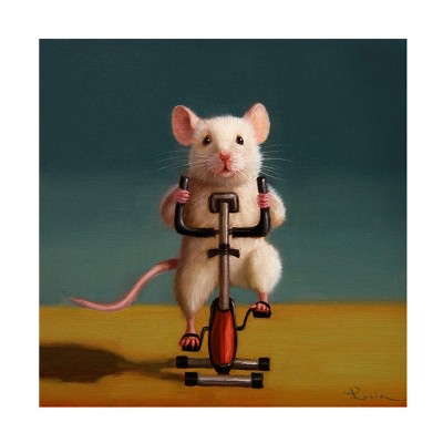 Trademark Fine Art - Lucia Heffernan Gym Rat Spin Canvas Art
