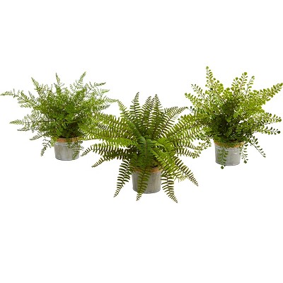 Nearly Natural 14-in Assorted Ferns with Planter Artificial Plant, Set of 3