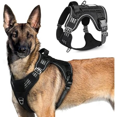 rabbitgoo Dog Harness No Pull with 2