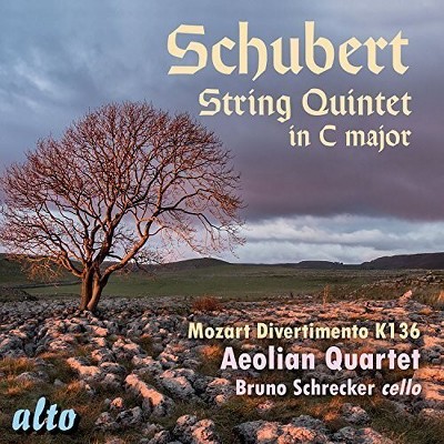 Schubert & Mozart & Aeolian Quartet & Schrecker - String Quintet in C Major / Divertimento in D (CD)