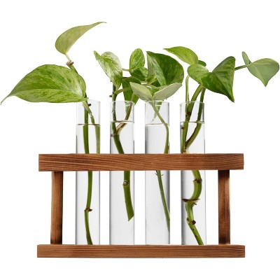 D'Eco Glass Plant Propagation Station (Set of 4 Tubes w Wooden Display) - Grow Hydroponic Plants - Holiday Christmas Gift for Plant Lovers