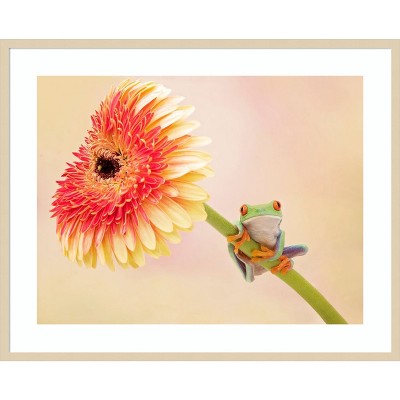Amanti Art Hanging On IX by PHBurchett Wood Framed Wall Art Print
