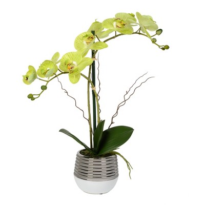 Vickerman Artificial Phalaenopsis in Metal Pot
