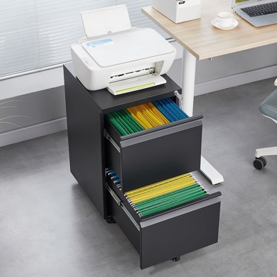 NicBex Filing Cabinet with 2 Casters Brakes,2-Drawer Metal Office Cabinet with Lock,File Cabinet for A4 and Letter Size Documents