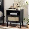 Angel Sar Rattan Nightstands Set of 2, Accent End Table, Boho Bedside Table with 1 Hand Made Decorated Door for Living Room, Bedroom - 2 of 4