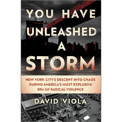 You Have Unleashed a Storm - by  David Viola (Hardcover)