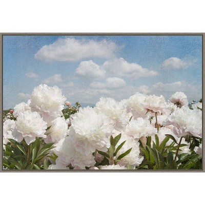 Amanti Art 33"x23" Peony Sunshine I by Georgianna Lane Framed Canvas Wall Art Print: Botanical Scene with Clouds
