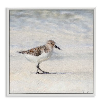 Stupell Industries Sandpiper Bird Stepping Beach Sand Black Framed Giclee Art