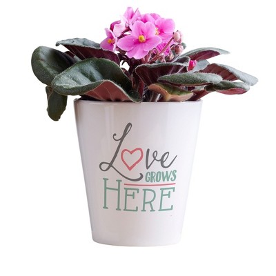 Personalization Mall Love Grows Here Personalized Mini Flower Pot