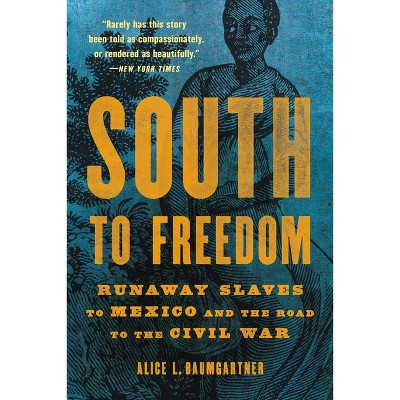 South to Freedom - by  Alice L Baumgartner (Paperback)
