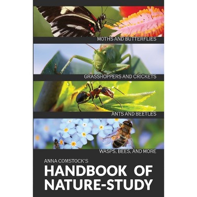 The Handbook Of Nature Study in Color - Insects - by  Anna B Comstock (Paperback)