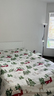 Guest review image 3 of 4, zoom in