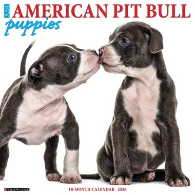 Willow Creek Press 2026 American Pit Bull Terrier Puppies Wall Calendar