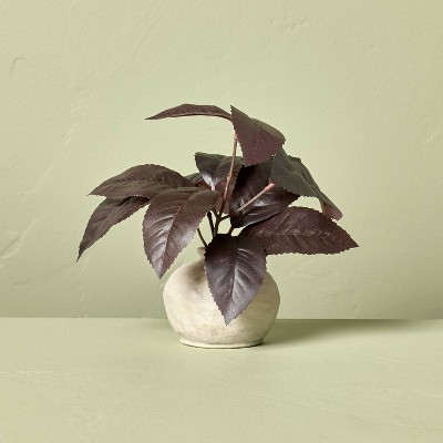 Black Plum Leaf Artificial Fall Arrangement - Hearth & Hand™ with Magnolia