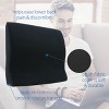 Core Products Lobak Rest Back Cushion - 4 of 4