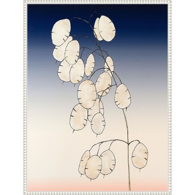 Amanti Art Money Plant II by Michael Willett Framed Canvas Wall Art