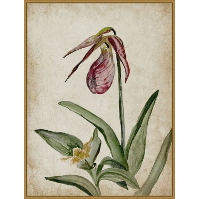 Amanti Art Elegance Unveiled II by Jacob q Framed Canvas Wall Art