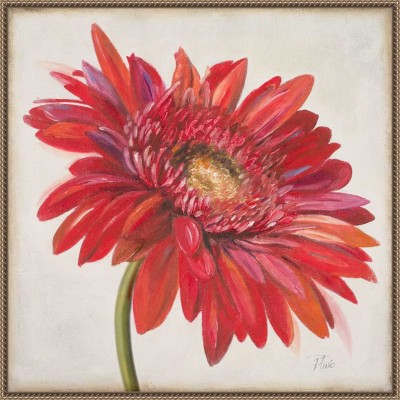 Amanti Art Red Gerber Daisy by Patricia Pinto Framed Canvas Wall Art