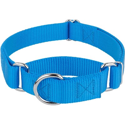 Country Brook Petz Martingale Heavyduty Training Collar with No Buckle - Service Collar for All Dogs - Vibrant, Colorful Collection