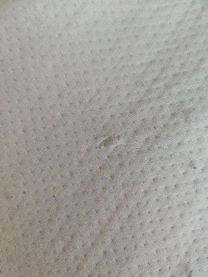 Guest review image 1 of 1, zoom in
