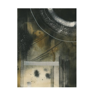 Trademark Fine Art - Grace Popp  Velvet Gallaxy II Canvas Art