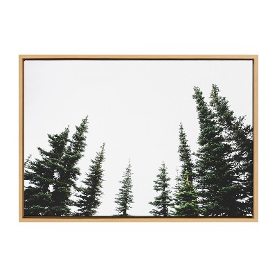 Kate and Laurel Sylvie Evergreens Framed Canvas by Patricia Hasz of Patricia Rae Photography, 23x33, Natural