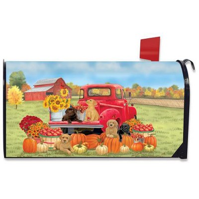 Briarwood Lane Fall Mailbox Cover  - Standard Size - Fall Puppies For Fall Mailbox Cover