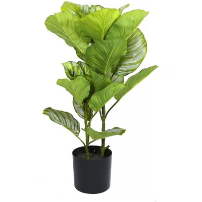 Seasonal LLC Artificial Potted Fiddle Leaf 23in