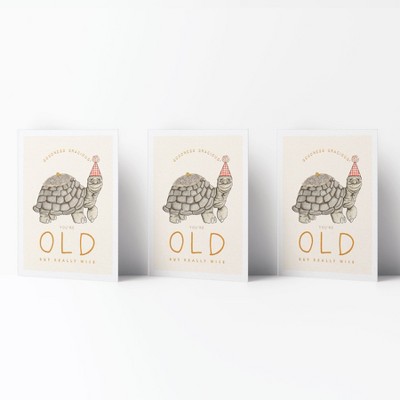 Birthday Greeting Card Pack Sets (3 ct) Old Turtle by Ramus & Co