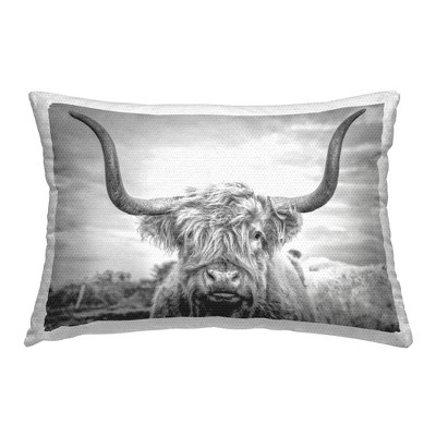 Stupell Industries Highland Cattle View