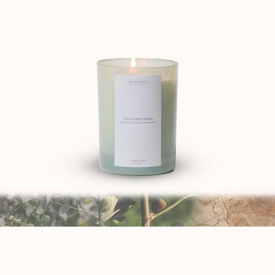 Benevolence LA Sun Kissed - Pacific Driftwood Scented Candle