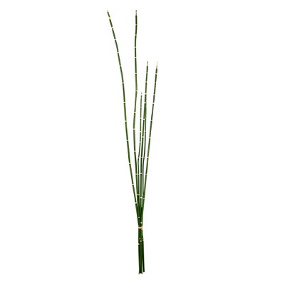 Vickerman Artificial Green Horsetail Bundle, 2/pk