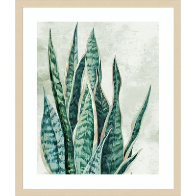Amanti Art Reaching Snake Plant by PI Studio Wood Framed Wall Art Print