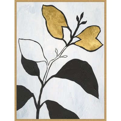 Amanti Art Hybrid Annuals I by Vanna Lam Framed Canvas Wall Art